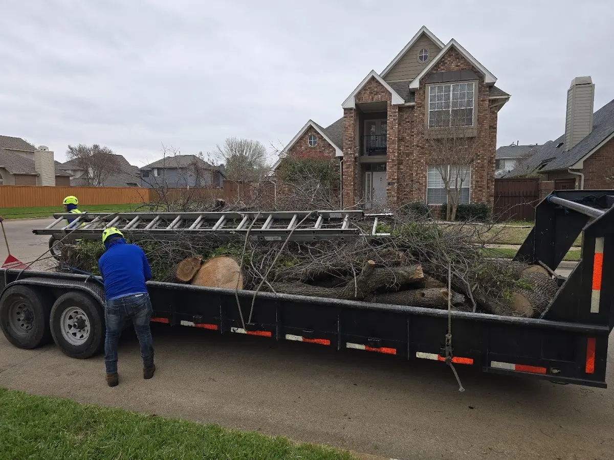 Expert Tree Removal with proper safety equipment in Kent